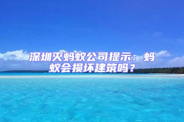 深圳灭蚂蚁公司提示：蚂蚁会损坏建筑吗？