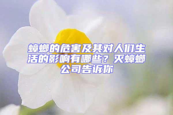 蟑螂的危害及其对人们生活的影响有哪些？灭蟑螂公司告诉你