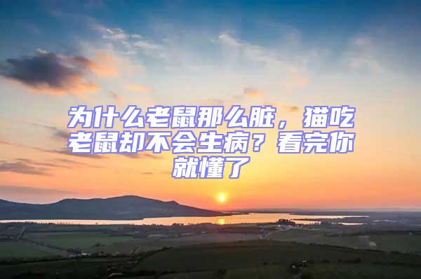 为什么老鼠那么脏，猫吃老鼠却不会生病？看完你就懂了