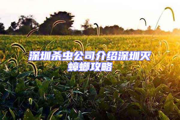 深圳杀虫公司介绍深圳灭蟑螂攻略