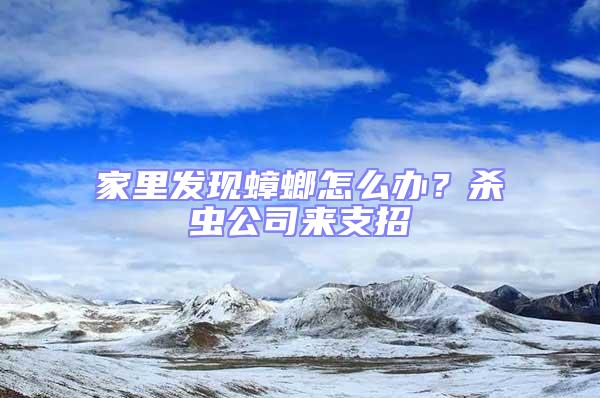 家里发现蟑螂怎么办？杀虫公司来支招