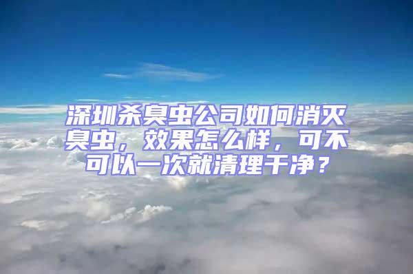 深圳杀臭虫公司如何消灭臭虫，效果怎么样，可不可以一次就清理干净？