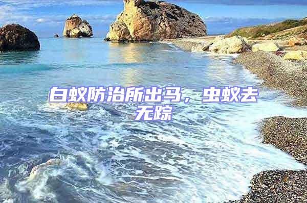 白蚁防治所出马，虫蚁去无踪