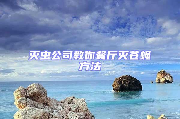 灭虫公司教你餐厅灭苍蝇方法