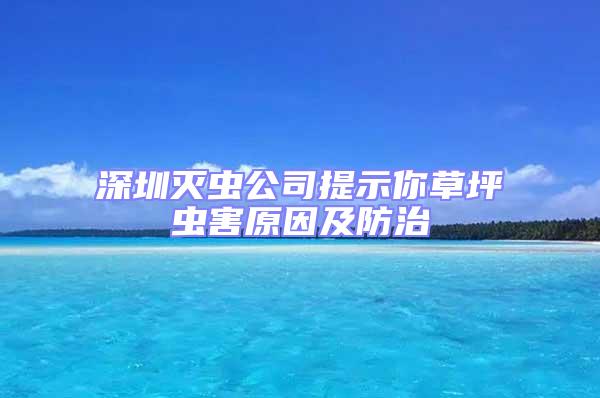 深圳灭虫公司提示你草坪虫害原因及防治