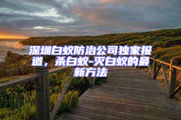 深圳白蚁防治公司独家报道，杀白蚁-灭白蚁的最新方法