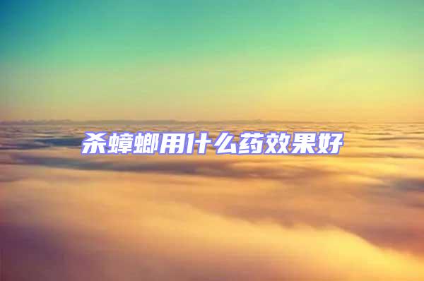杀蟑螂用什么药效果好