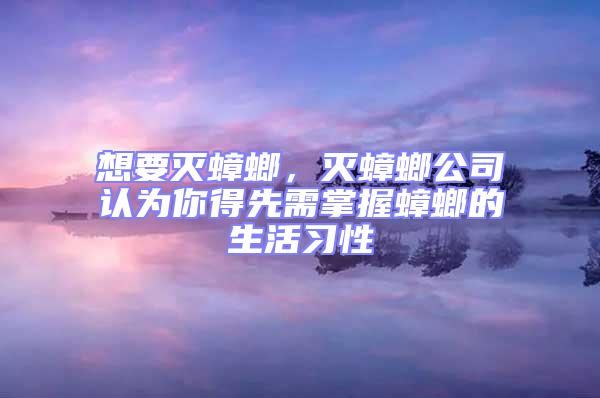 想要灭蟑螂，灭蟑螂公司认为你得先需掌握蟑螂的生活习性