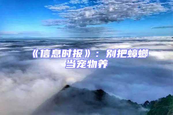 《信息时报》：别把蟑螂当宠物养