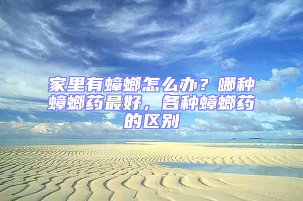 家里有蟑螂怎么办？哪种蟑螂药最好，各种蟑螂药的区别