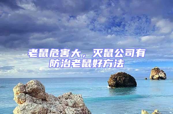 老鼠危害大，灭鼠公司有防治老鼠好方法