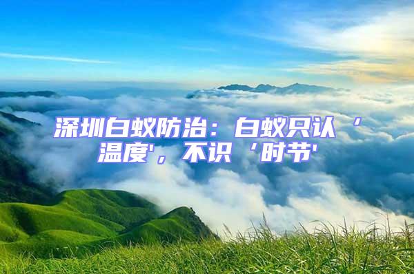 深圳白蚁防治：白蚁只认‘温度'，不识‘时节'