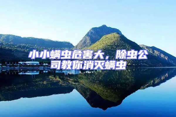 小小螨虫危害大，除虫公司教你消灭螨虫