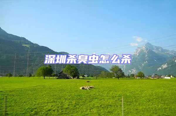 深圳杀臭虫怎么杀