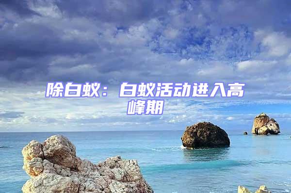 除白蚁：白蚁活动进入高峰期