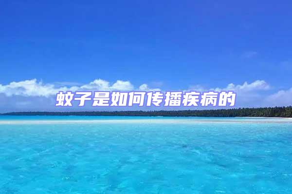 蚊子是如何传播疾病的