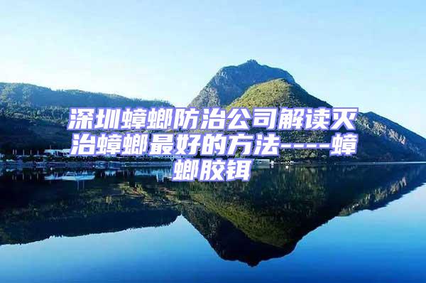 深圳蟑螂防治公司解读灭治蟑螂最好的方法----蟑螂胶铒