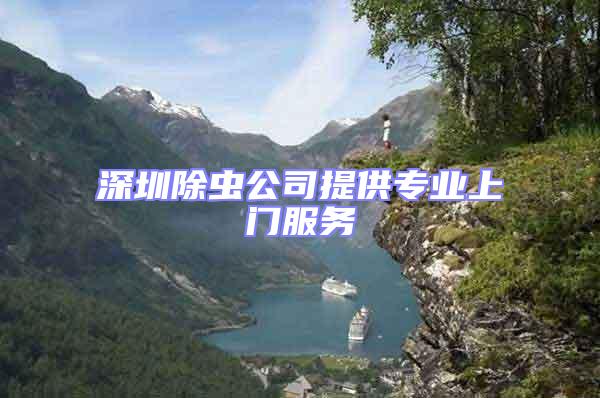 深圳除虫公司提供专业上门服务