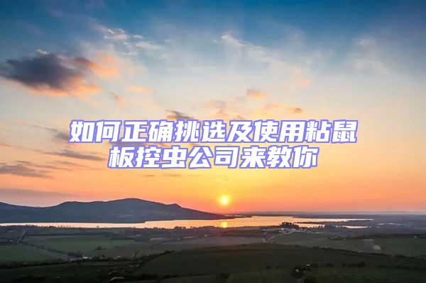 如何正确挑选及使用粘鼠板控虫公司来教你