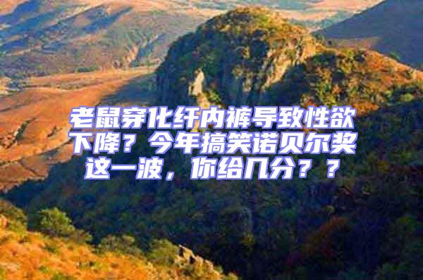 老鼠穿化纤内裤导致性欲下降？今年搞笑诺贝尔奖这一波，你给几分？？