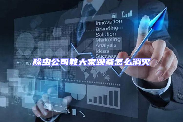 除虫公司教大家跳蚤怎么消灭