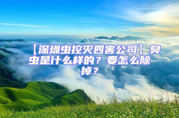 【深圳虫控灭四害公司】臭虫是什么样的？要怎么除掉？