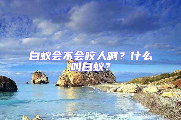 白蚁会不会咬人啊？什么叫白蚁？