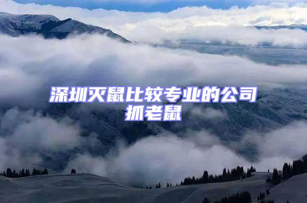 深圳灭鼠比较专业的公司抓老鼠