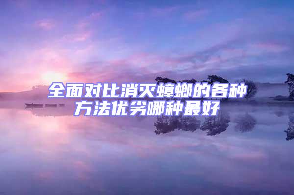 全面对比消灭蟑螂的各种方法优劣哪种最好