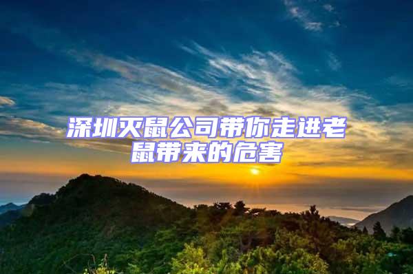 深圳灭鼠公司带你走进老鼠带来的危害