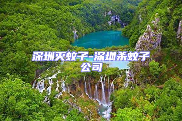 深圳灭蚊子-深圳杀蚊子公司