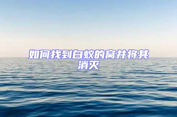 如何找到白蚁的窝并将其消灭