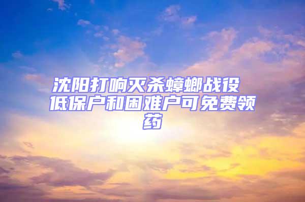 沈阳打响灭杀蟑螂战役 低保户和困难户可免费领药