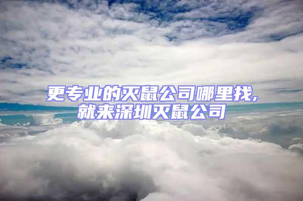 更专业的灭鼠公司哪里找,就来深圳灭鼠公司