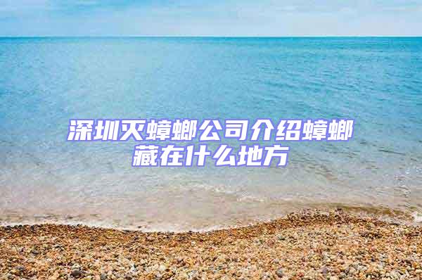 深圳灭蟑螂公司介绍蟑螂藏在什么地方