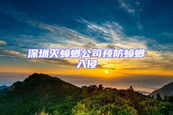 深圳灭蟑螂公司预防蟑螂入侵