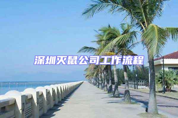 深圳灭鼠公司工作流程