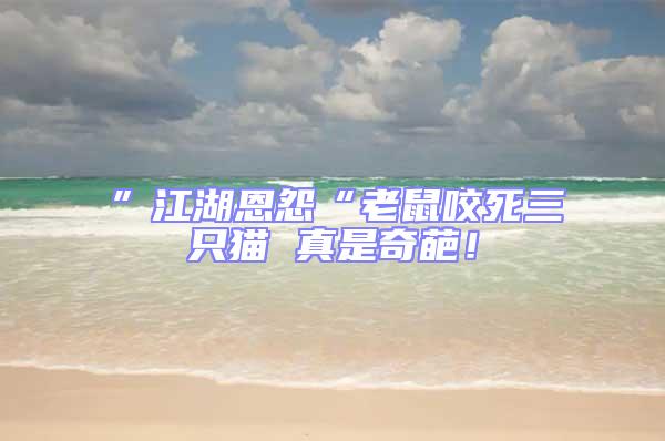 ”江湖恩怨“老鼠咬死三只猫 真是奇葩！