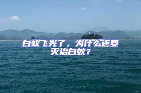 白蚁飞光了，为什么还要灭治白蚁？