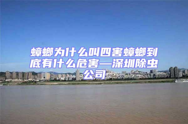 蟑螂为什么叫四害蟑螂到底有什么危害—深圳除虫公司
