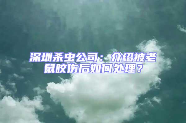 深圳杀虫公司：介绍被老鼠咬伤后如何处理？