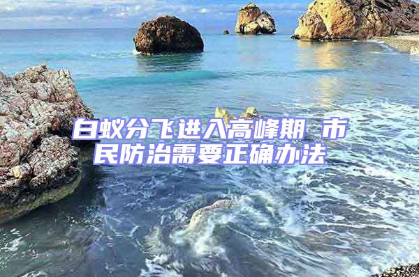 白蚁分飞进入高峰期 市民防治需要正确办法