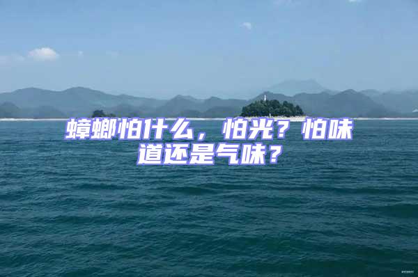 蟑螂怕什么，怕光？怕味道还是气味？