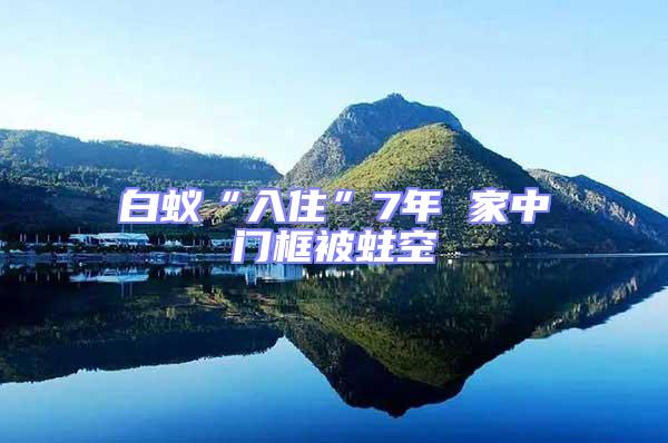 白蚁“入住”7年 家中门框被蛀空