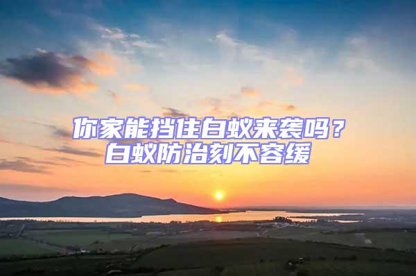 你家能挡住白蚁来袭吗？白蚁防治刻不容缓