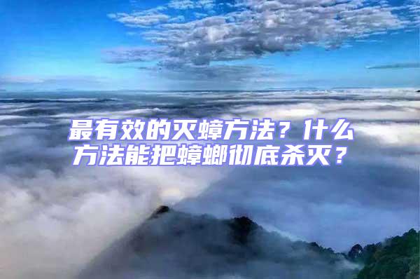 最有效的灭蟑方法？什么方法能把蟑螂彻底杀灭？