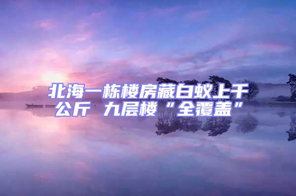 北海一栋楼房藏白蚁上千公斤 九层楼“全覆盖”