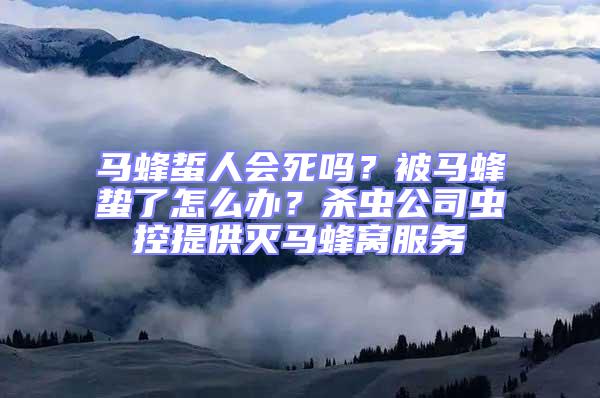 马蜂蜇人会死吗？被马蜂蛰了怎么办？杀虫公司虫控提供灭马蜂窝服务