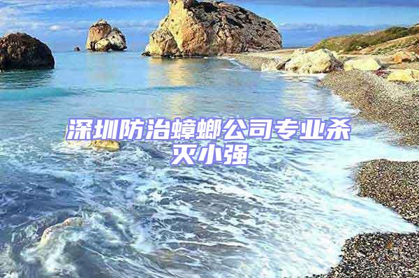 深圳防治蟑螂公司专业杀灭小强