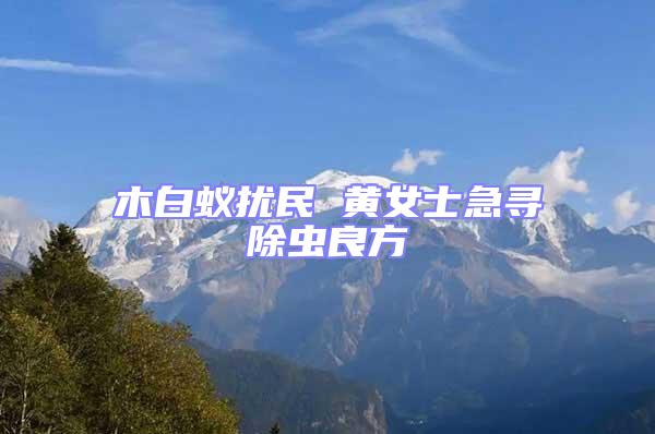 木白蚁扰民 黄女士急寻除虫良方